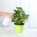 500ml Empty Plastic Spray Bottle For Commercial Cleaning Plant Watering Can Sanitizing Sprayer